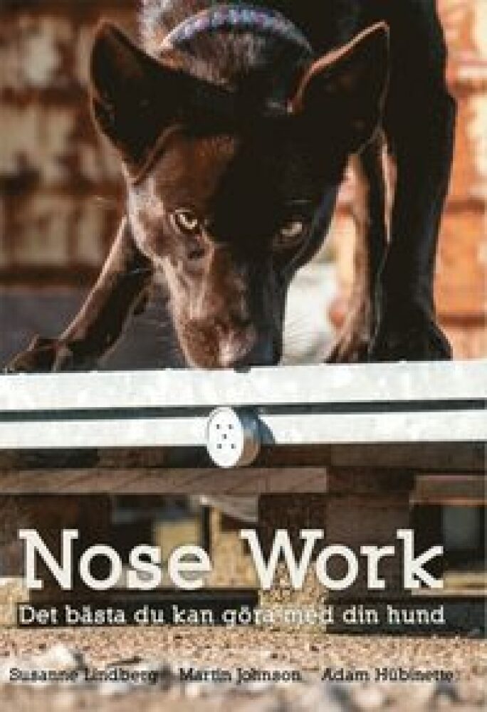 Nosework – det bästa du kan göra med din hund
