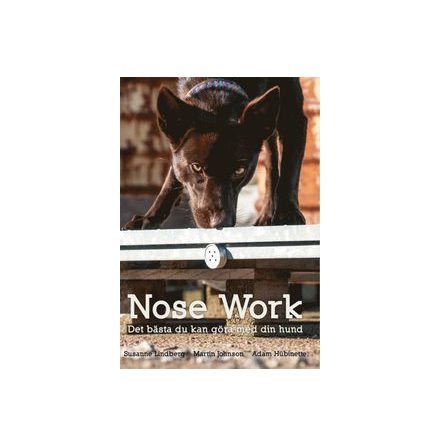 Nosework – det bästa du kan göra med din hund