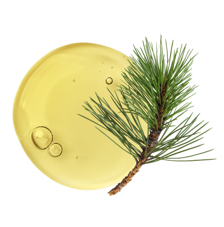 Svensk talls�pa naturell