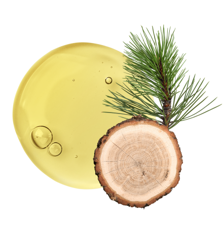 Svensk talls�pa r�dceder